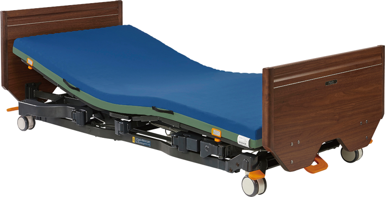 Care Facility Bed Ardel
