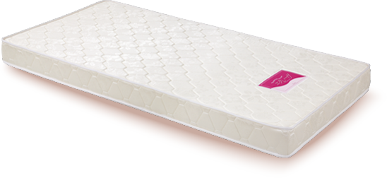 Elder Support Mattress