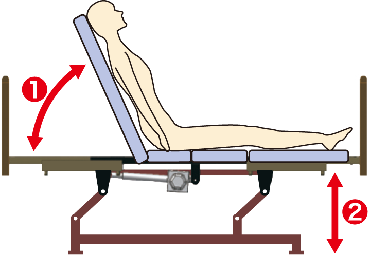 2 Motor Type Care Beds