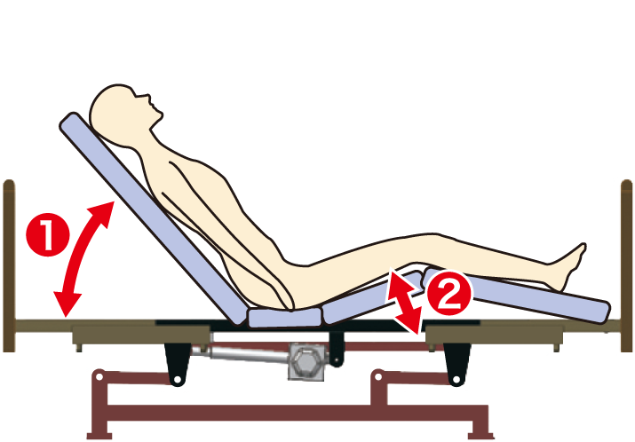 2 Motor Beds at Furniture Stores are Referred to as “1+1 Motor Type” at Platz